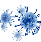 Immunsystem
