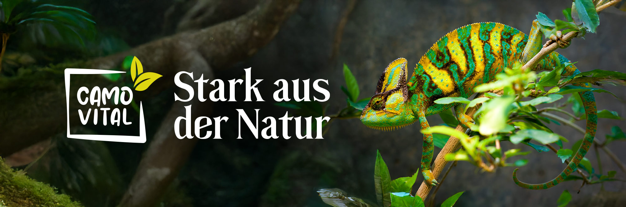 ber uns Header